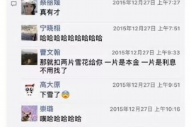 过年收到催收短信：揭秘催收短信背后的秘密
